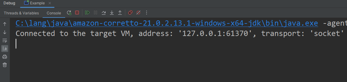 Debug View - Console