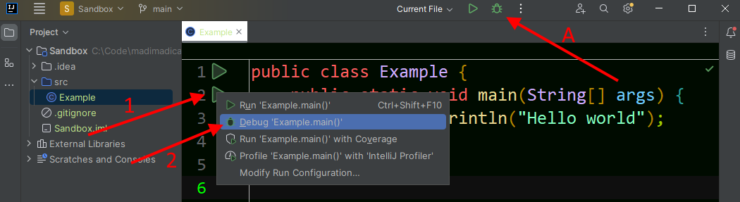 IntelliJ Launching Debug Mode